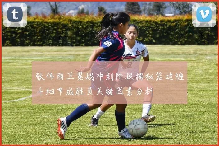 张伟丽卫冕战冲刺阶段揭秘笼边缠斗细节成胜负关键因素分析